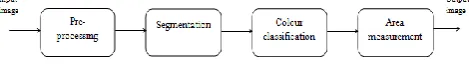 Fig. 1 Flow diagram of proposed approach 