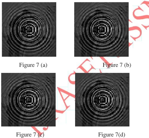 Figure 7 (a)
