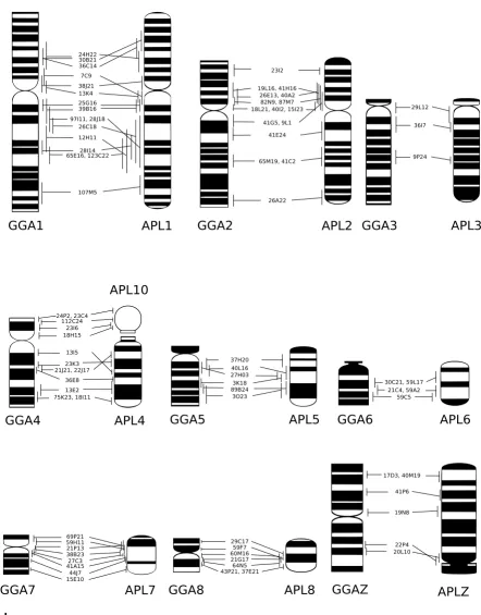 Figure 1Comparative map of chicken and duck chromosomes 1–8 and ZComparative map of chicken and duck chromosomes 1–8 and Z