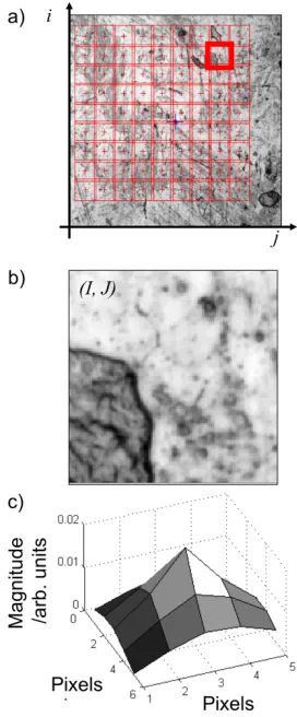 FIGURE 2. Illustration of the image correlation  method. a) A 9-by-9 grid of image patches defined in the 2D intensity map of the CSI measurement of a coin surface; b) the enlarged image patch (100-by-100 pixels) of which the centroid is located at 