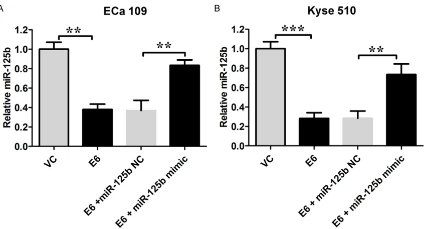 Figure 3. Western blot analysis of TLE1, GSK3beta, sFRP4, and beta-catenin in Eca 109 and Kyse 150 cells