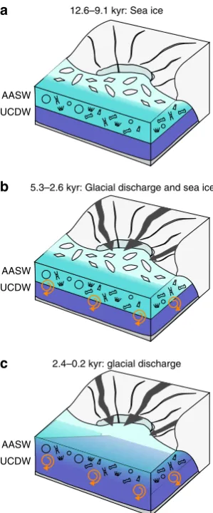 Figure 5 | Conceptual model of the processes controlling photic zoneSi(OH)water column stability and enables diatoms to remain in the photic zone forlonger, increasing rates of Si(OH)4 utilization along the WAP