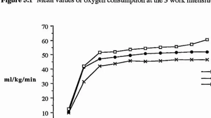 Figure 5.1 Mean values of oxygen consumption at the 3 work intensities