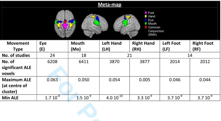 Table I: Details on meta-map for each of the six movement tasks: eye (E), mouth (M), left and right hand (LH and RH), and left and right foot (LF and RF)