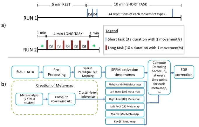 Figure 1 (a): Experiment paradigm of RUN1 and RUN2. RUN1 comprised a 5 minute rest period followed by For Peer Review10 minutes of short motor movement task (twenty-four 3-second motor task trials performed separated by 