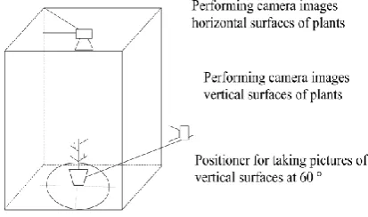 Fig. 1 The scheme of the test site 