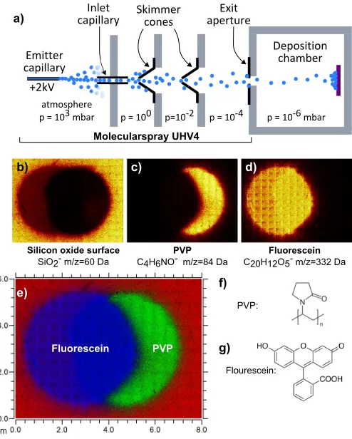 Figure 1: a) Schematic of the Molecularspray UHV4 system used to fabricate bi-layerstructures.b-d) ToF-SIMS images built using markers for SiO2, PVP and ﬂuoresceinrespectively