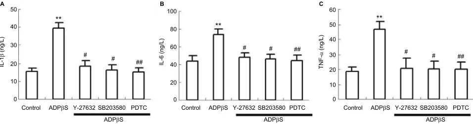 Figure 6 Enzyme-linked immunosorbent assay results show IL-1vs ADPb, IL-6 and TNF-a release from cultured rat dorsal spinal cord microglia cells