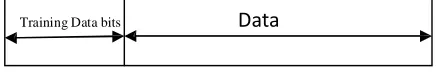 Figure 1 Training Sequences and data block