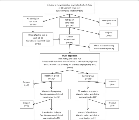 Fig. 1 Flow chart of the inclusion process into the randomized controlled trial.protocol subanalyses.pregnancy, but returned to the study six weeks after delivery