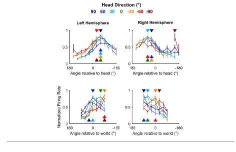 Fig 10 Auditory cortical tuning 