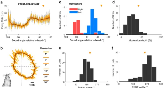 Fig 7. Egocentric unit characteristics. a-b: Spatial tuning of an example egocentric unit at multiple angular resolutions