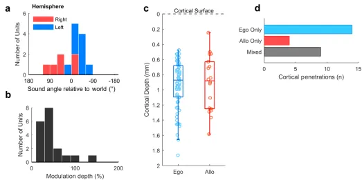 Fig 8. Allocentric unit characteristics. a: Preferred location of all allocentric units (doi.org/10.6084/m9.figshare.4955369.v1n = 19) in left and right auditory cortex