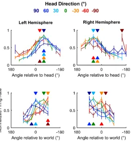 Fig 10. Auditory cortical tuning. Population tuning curves plotted across head direction for mean (normalized response of all units in left and right auditory cortex; filled triangles indicate sound angle of±SEM)maximum response at each head direction