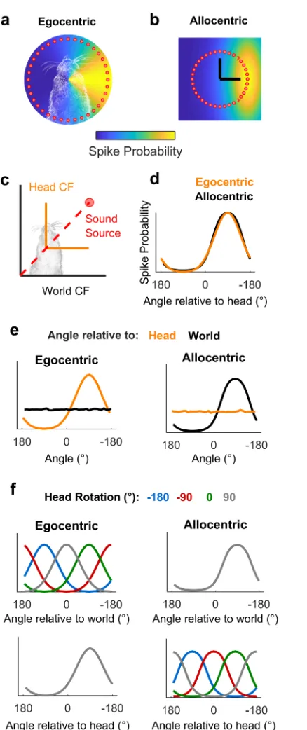 Fig 1. Simulated receptive fields show that observer movement resolves coordinate frame ambiguity.