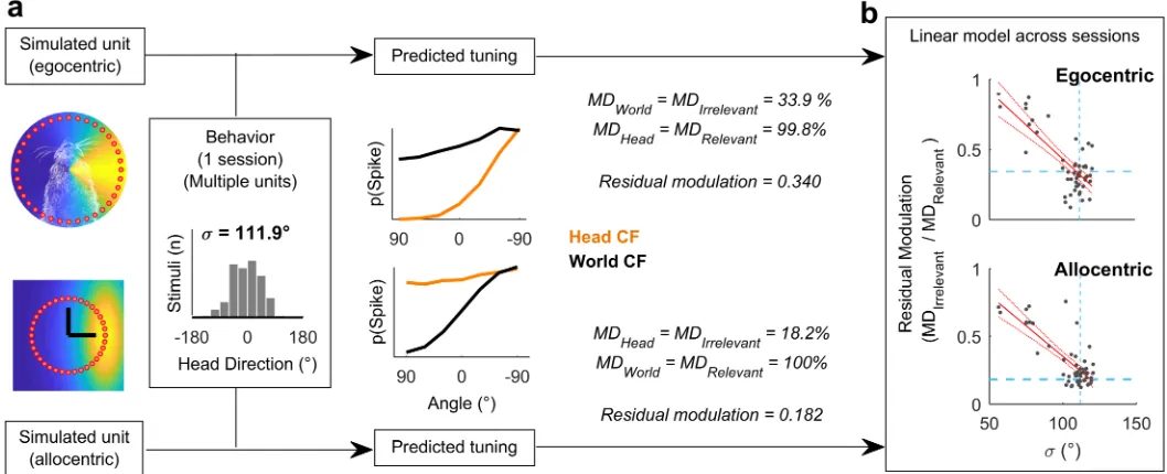 Fig 3. Estimating residual modulation. a: Example workflow for estimating residual modulation in coordinate frames irrelevant for neural output thatresult from biases in head direction