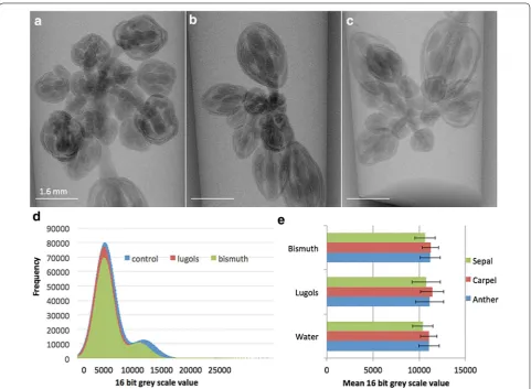 Fig. 3 X-ray µCT radiograph image of whole Arabidopsis inflorescence using different contrast agents and their density gradients