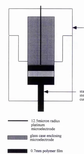 Figure 2.6 Two electrode solid polymer cell