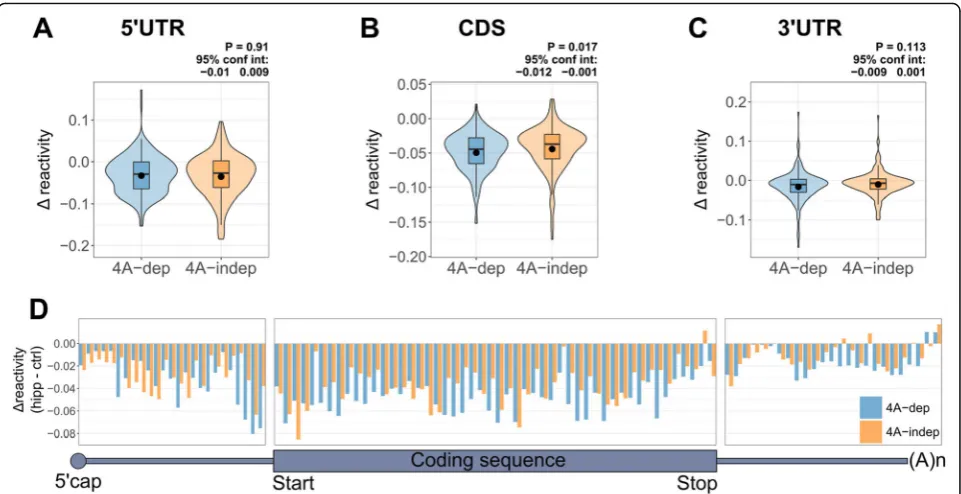 Fig. 4 eIF4A-dependent mRNAs become more structured than eIF4A-independent mRNAs at the 3′ end of the 5′UTR