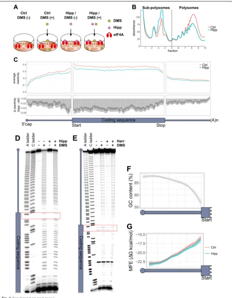 Fig. 1 (See legend on next page.)
