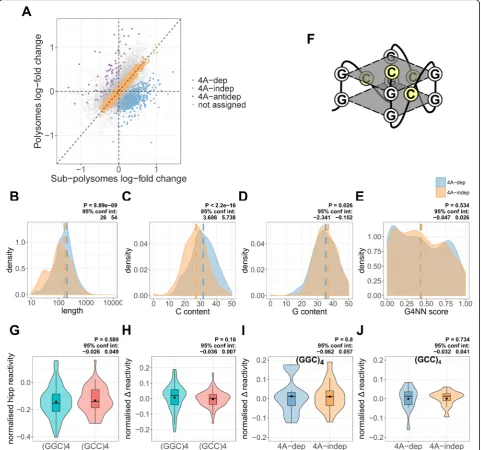 Fig. 3 eIF4A-dependent mRNAs are not enriched in G-quadruplexes. a A scatter plot depicting the log-fold change in expression betweenhippuristanol and control, in the polysomal and sub-polysomal fractions, for all 16,868 genes in the MCF7-specific transcri