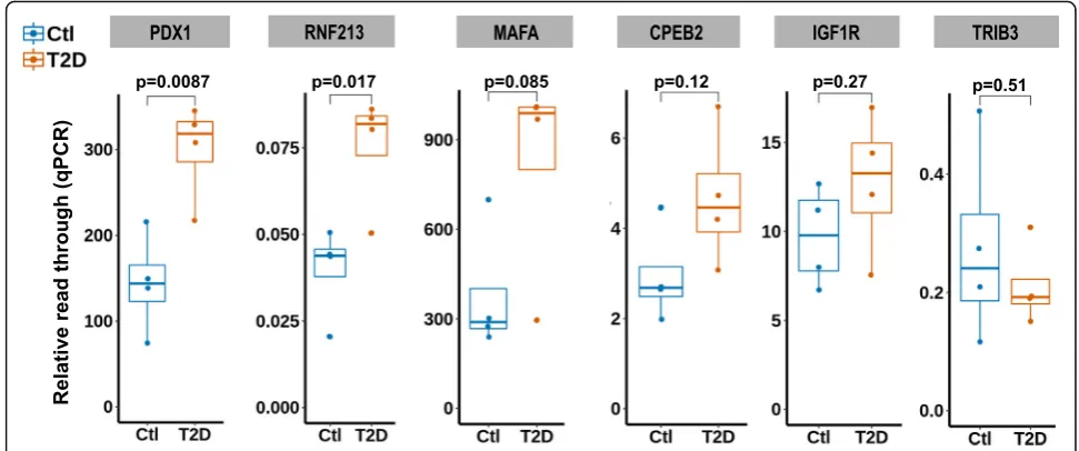 Fig. 7 The influence of sample size on the statistical power of differential methylation analysis