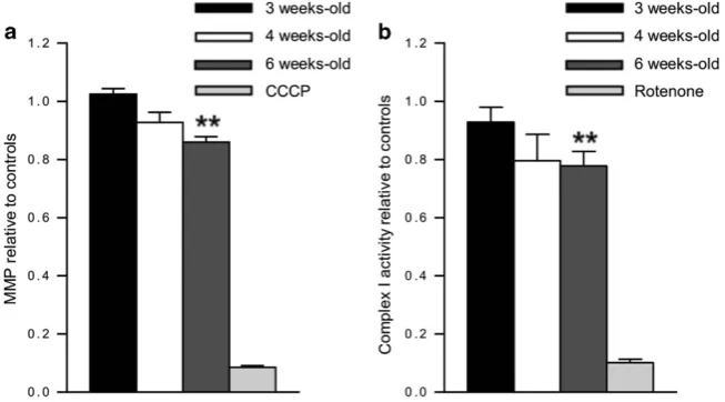 Figure 2Mitochondrial dysfunction in 26S proteasome-impaired neurons. (as a control;control;Crea) Relative MMPof mitochondria purified from 3, 4 and 6-week-old control and Psmc1fl/fl;CaMKIIα- cortices using JC1 potentiometric dye