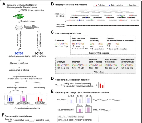 Fig. 2 PASTMUS workflow and bioinformatics pipeline to identify critical residues of proteins.was performed, followed by amplification of sgRNA barcodes and the targeted gene cDNA for NGS
