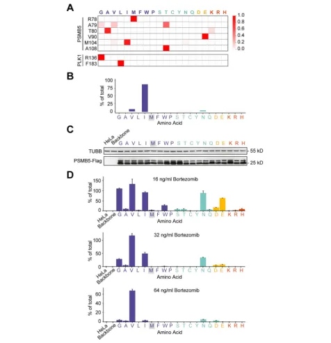 Fig. 5 Substitution pattern analysis of top hits from PSMB5 and PLK1.substitution variants.as the mean ± SD, a Heat maps showing the substitution pattern of top amino acids ofPSMB5 and PLK1