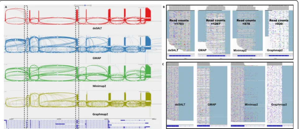 Fig. 5 An example of the alignments of real sequencing reads by various aligners. This figure represents the snapshots of the alignments of thereads from the human ONT cDNA dataset around the VDAC3 gene (Chr8: 42391761–42405937) of reference GRCh38