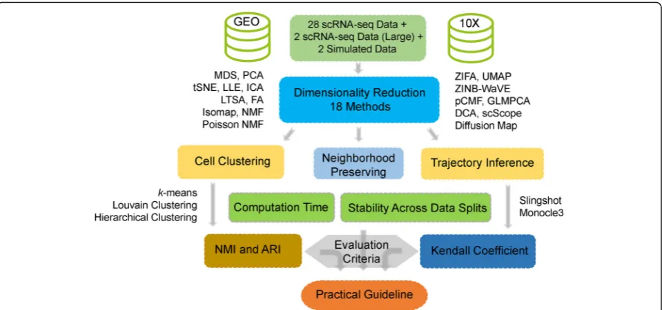 Fig. 1 Overview of the evaluation workflow for dimensionality reduction methods. We obtained a total of 30 publicly available scRNA-seq datafrom GEO and 10X Genomics website