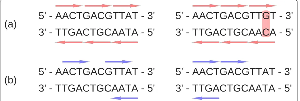 Fig. 1 Bias caused by NGS sampling. a Two genomes that differ by only 1 bp, marked in red