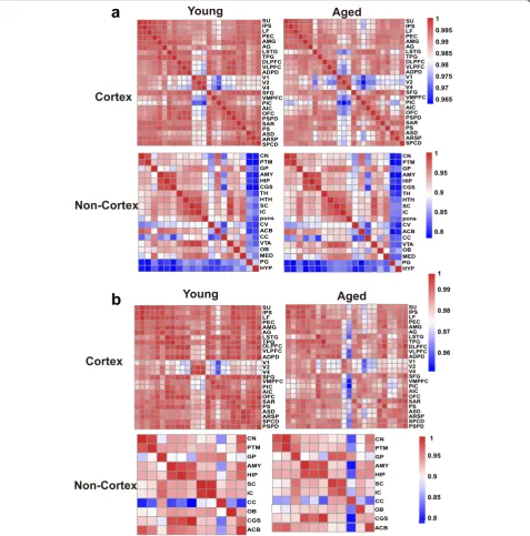 Fig. 2 Expression connectivity between pairs of cerebral cortex areas and expression symmetry between the left and right hemispheres decreaseafter aging