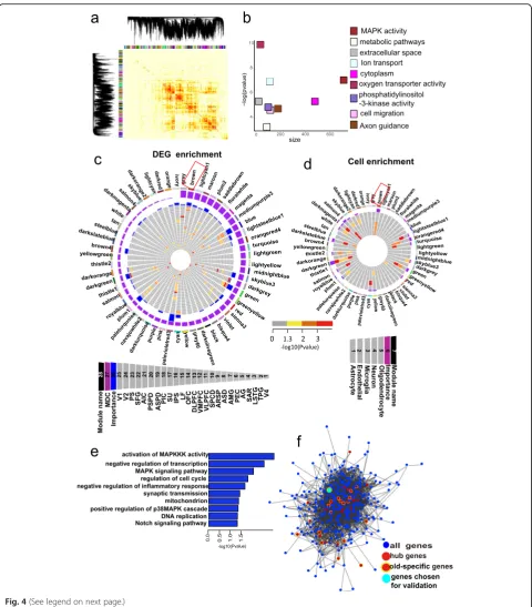 Fig. 4 (See legend on next page.)