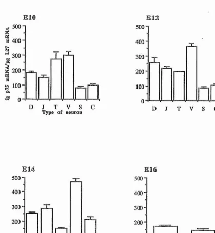 Figure 3 p75 mRNA expression relative to L27 mRNA in puiified preparations of 