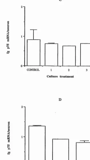 Figure 5expressed as fg/neuron. The graphs show the mean of two samples ± the standard ng/ml); 3, TGF-p3 (50 ng/ml)