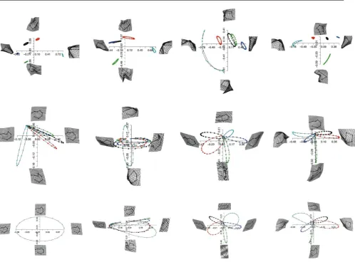 Fig. 7 Procrustes superimposition of non uniform components of deformations between original cycles and cycles recoveredafter GPA on the shape space+PCA performed on data transported according to DT (top) or LC (bottom).