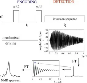Figure 1.8: Encoding of NMR into mechanical oscillations.