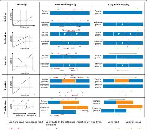 Fig. 1 Comparison between de novo assembly, short-read and long-read mapping approaches to identify structural variants