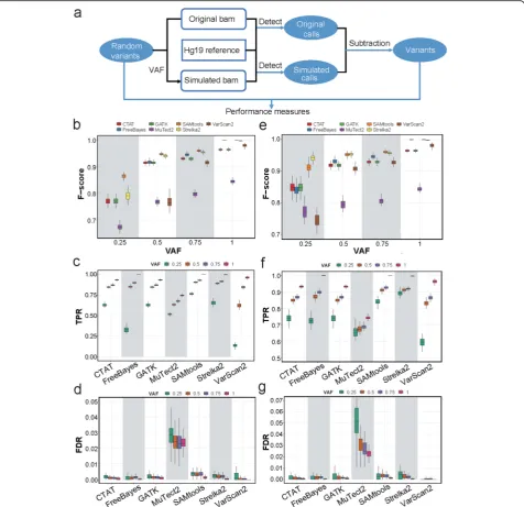 Fig. 5 The performance measurements of variant-calling tools with different variant allele frequencies in simulated data.the simulation procedure of inserting random variants to mapped BAM file and the performance assessments based on simulation