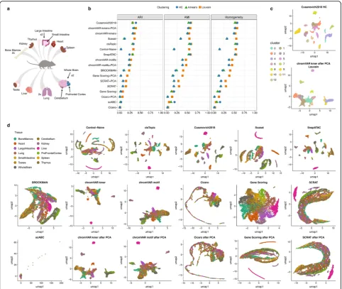 Fig. 6 Benchmarking results using the downsampled sci-ATAC-seq mouse dataset from 13 adult mouse tissues.tissues