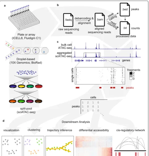 Fig. 1 Schematic overview of single-cell ATAC-seq assays and analysis steps.single cell are mapped to a reference genome, producing aligned reads in .bam format