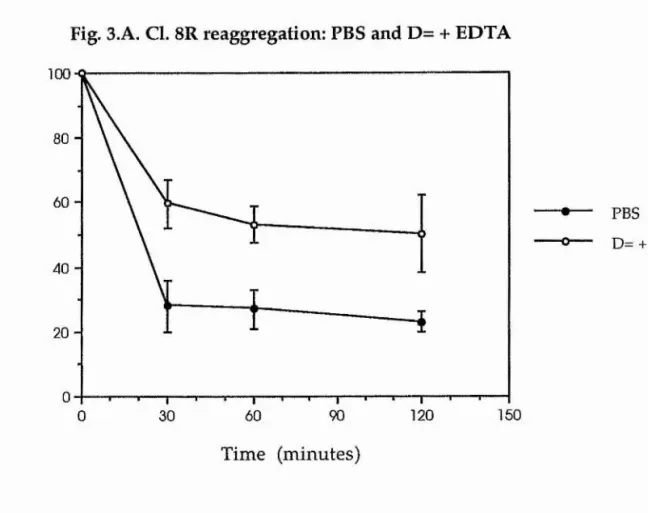 Fig. 3.B. Cl. 8R reaggregation (trypsin): PBS and D= + EDTA