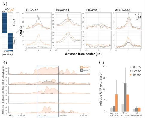 Fig. 3 Differential enhancers in murine stem cell differentiation.compared to an untreated sample (differential activity pattern