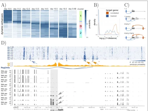 Fig. 4 Dynamic enhancer-gene pairs in mouse embryo midbrain.expression ofEnhancer regions that are active in just one condition are highlighted on the right site of the plot.probability tracks of the eight time points are summarized on top
