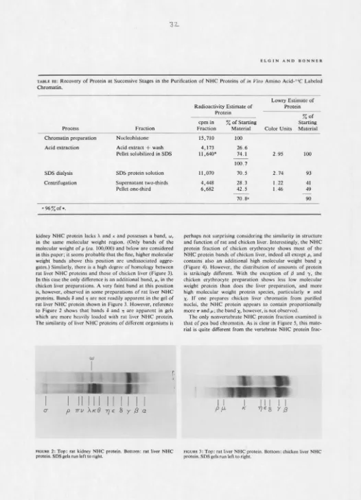 TABLE 111: Recovery of Protein at Successive Stages in the Purification of NHC Proteins of in Vivo Amino Acid-"C Labeled Chromatin