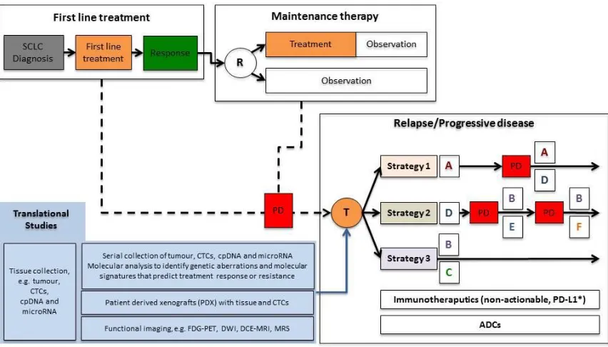 Figure 3: Future treatment paradigm for small cell lung cancer 
