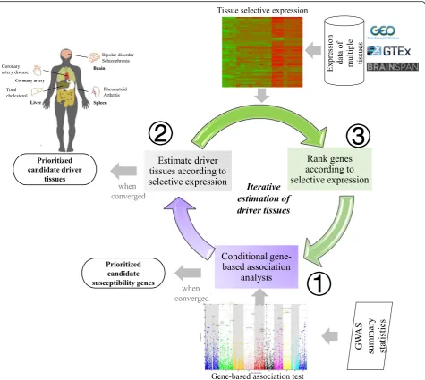 Fig. 1 The diagram of the unified framework. The unified framework, DESE, consists of three components which run iteratively
