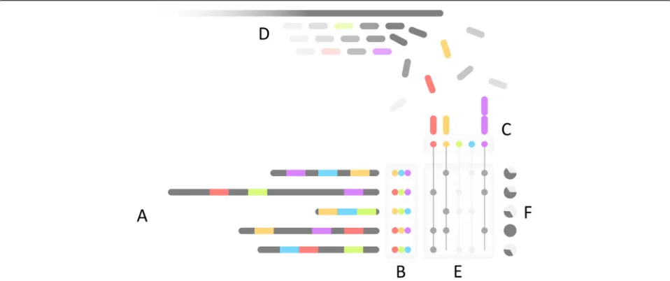 Fig. 2 Mash Screen algorithmic overview. (A) The minimum m hashes (in this case 3, shown colored) for each reference sequence is determinedduring sketching to produce (B) a reference MinHash sketch library