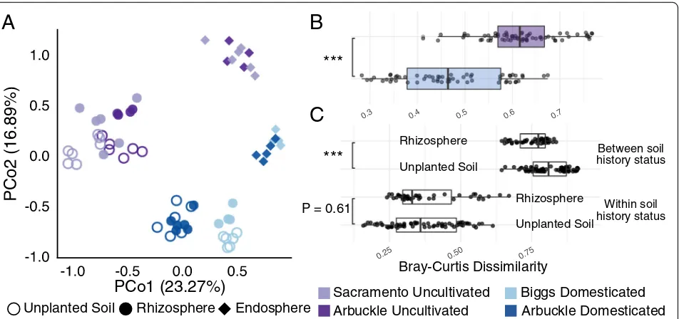 Fig. 1 Root microbiota assembly in rice plants domesticates uncultivated soil communities.rhizosphere, and endosphere communities of rice plants grown in uncultivated (purple points) and domesticated (blue points) soils
